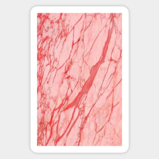 Pink marble stone Sticker